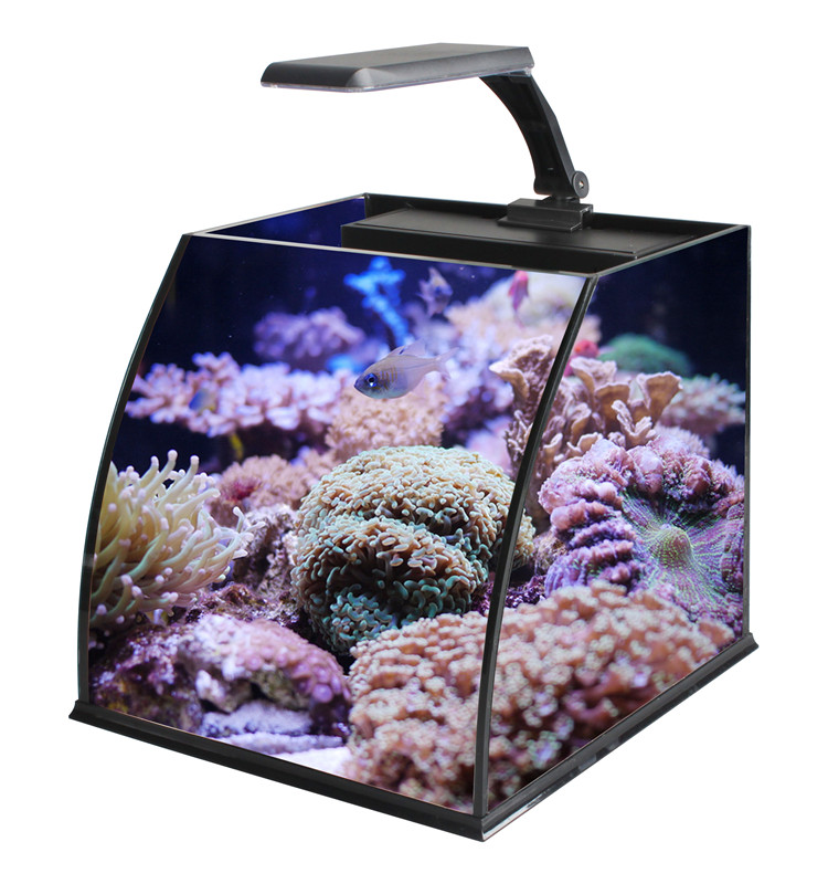 Marine Aquarium In Clearwater - Ultra Clear Glass Mini Salt Water