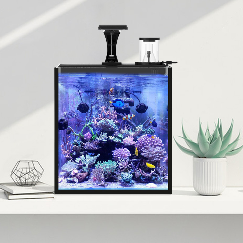 Ultra Clear Glass Mini Salt Wa - Marine Aquarium In Clearwater のレビューと価格
