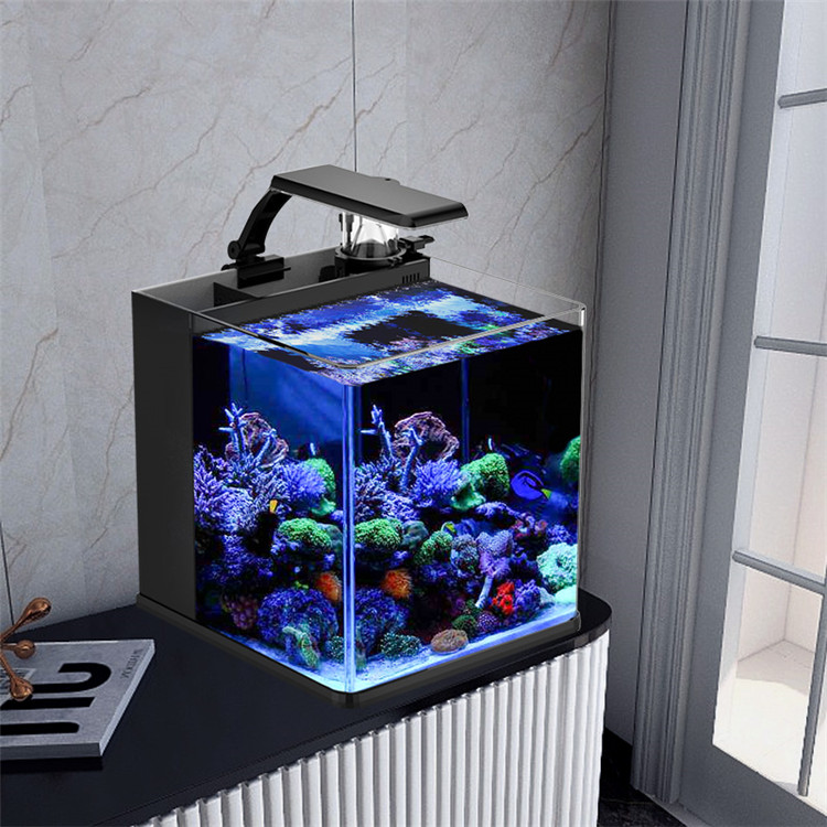 Ultra Clear Glass Mini Salt Wa - Marine Aquarium In Clearwater のレビューと価格