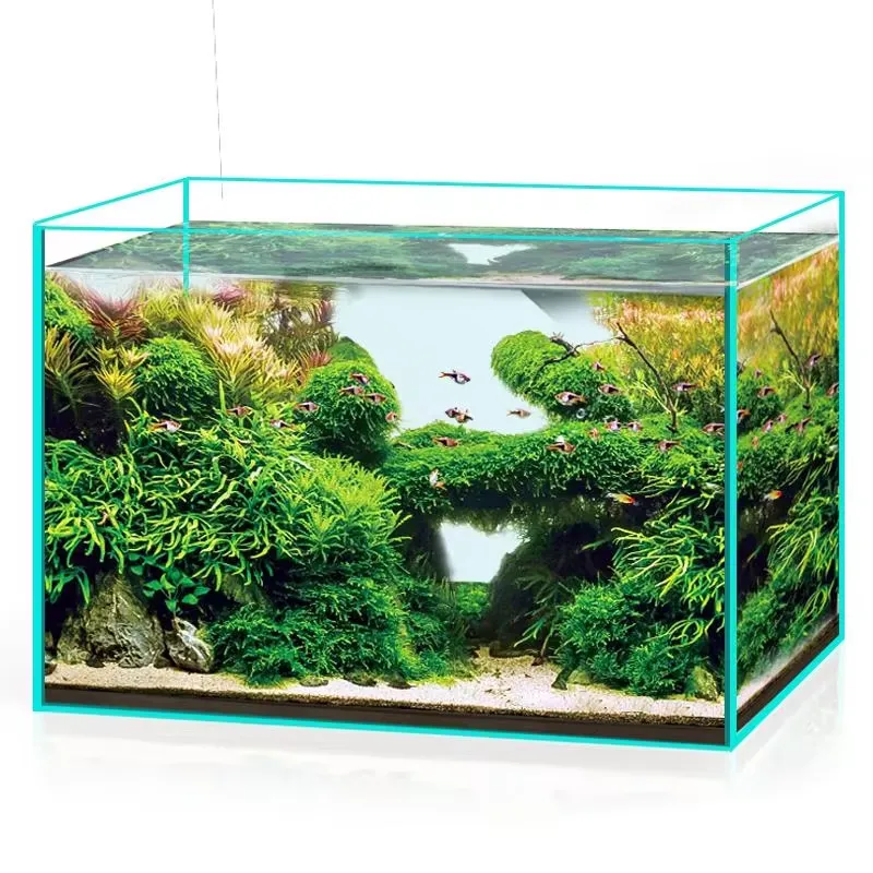 Ultra Clear Glass Aquarium Fis - Marine Aquarium In Clearwater のレビューと価格