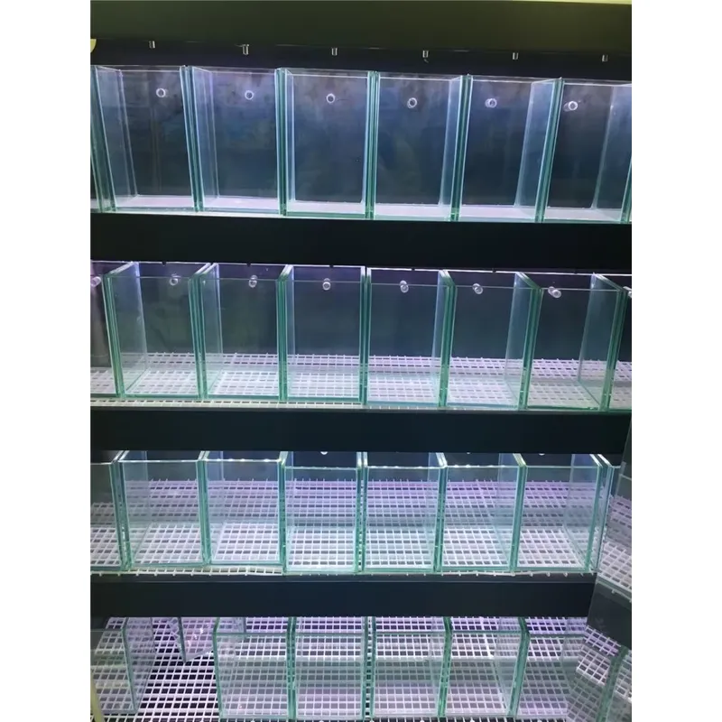 Ultra Clear Glass Aquarium Fis - Marine Aquarium In Clearwater のレビューと価格