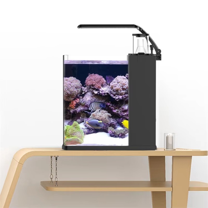 Ultra Clear Glass Mini Salt Wa - Marine Aquarium In Clearwater のレビューと価格
