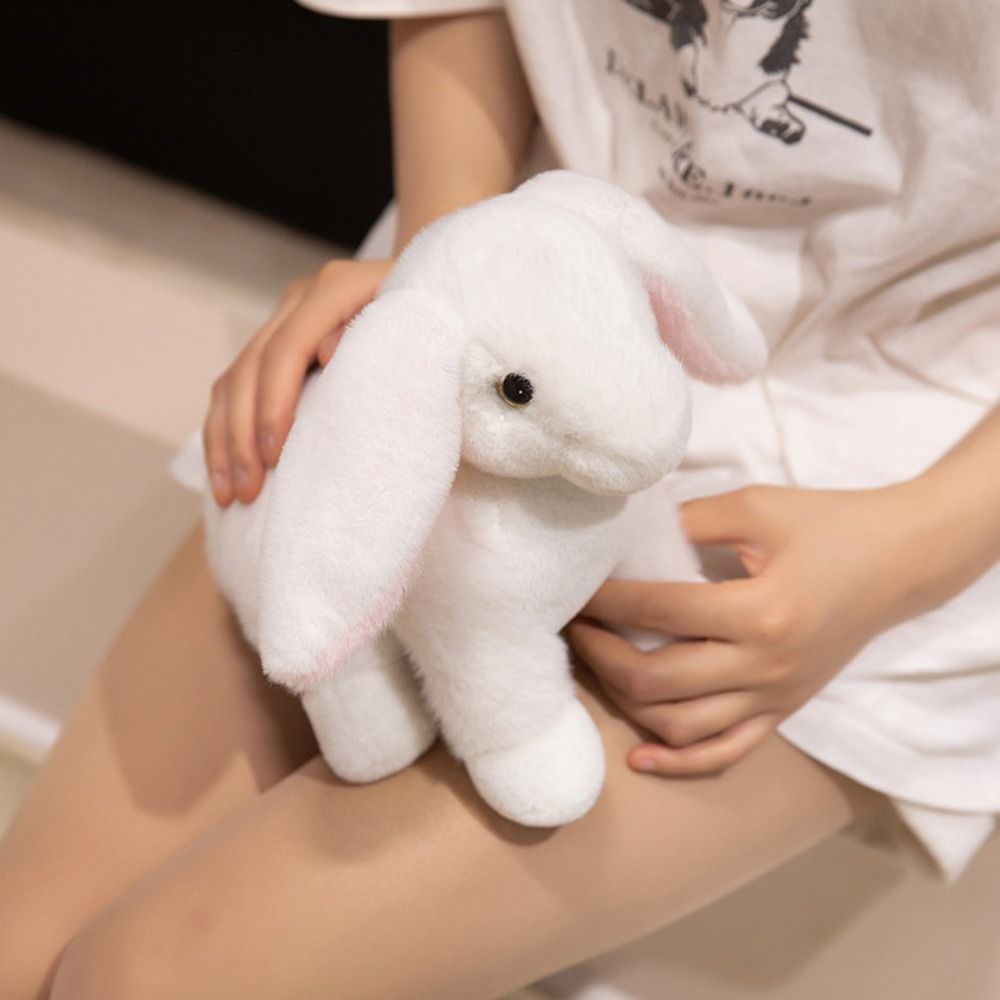 Marine Animals Bunny Zoo Sea L - Marine Zoo のレビューと価格