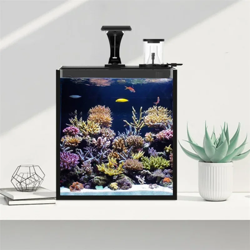 Hot sales Ultra Clear Glass Mi - Marine Aquarium In Clearwater のレビューと価格
