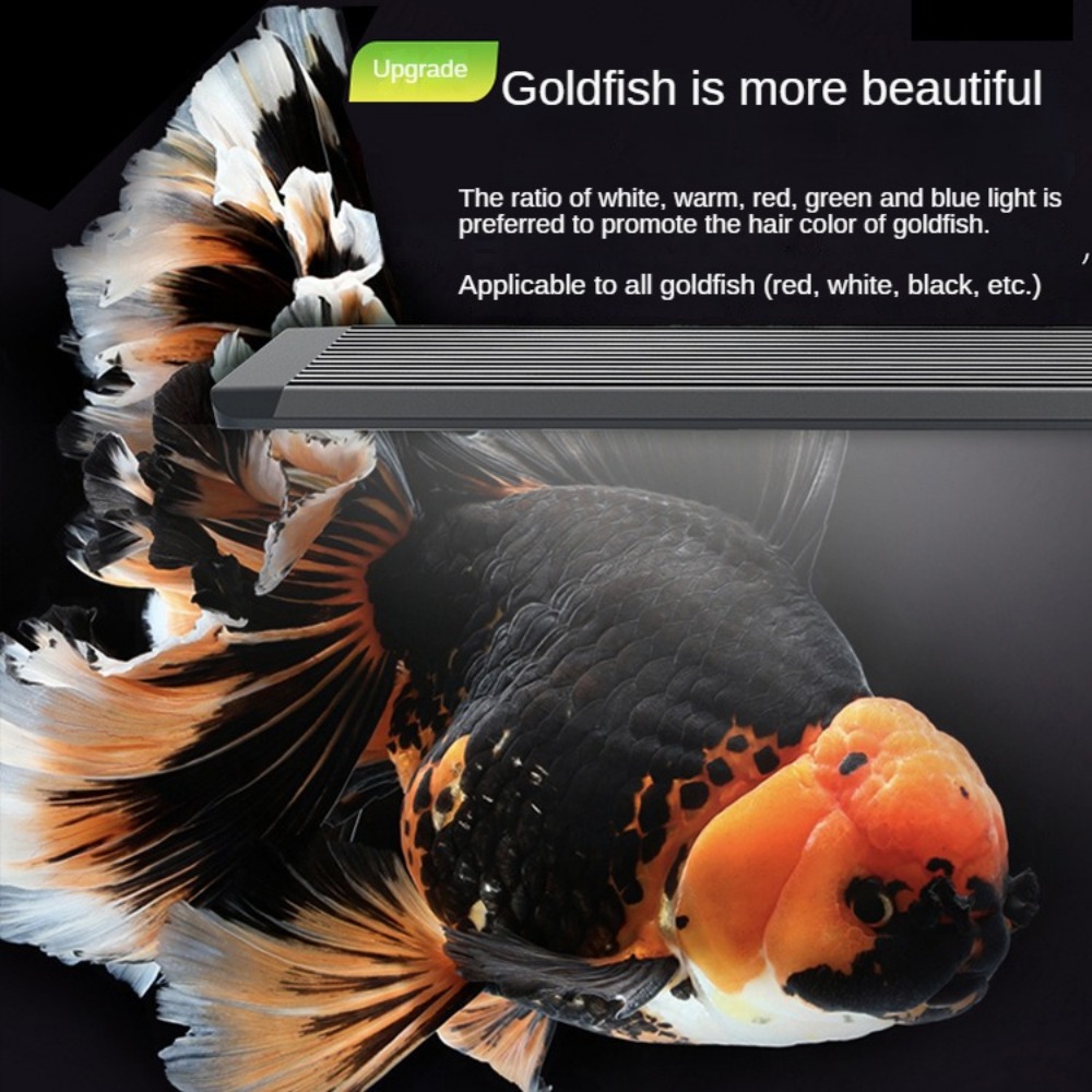 Aquarium Light With Optical Le - Marine Aquarium In Clearwater のレビューと価格