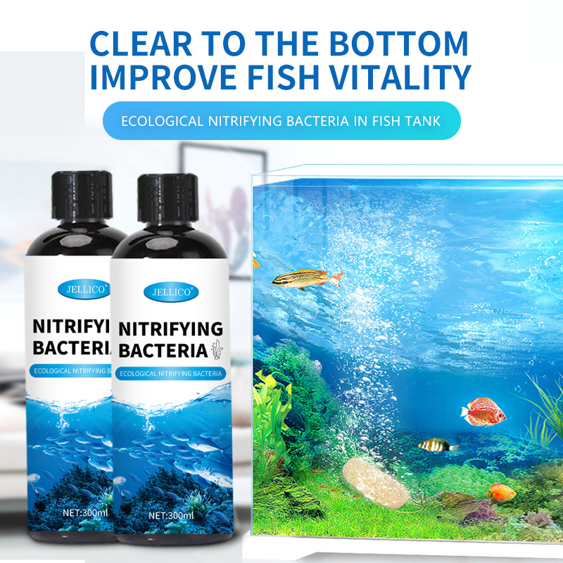 300ml Nitrifying Bacteria Aqua - Marine Aquarium In Clearwater のレビューと価格