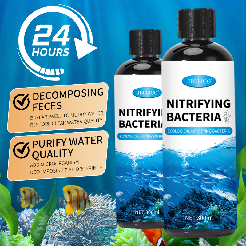300ml Nitrifying Bacteria Aqua - Marine Aquarium In Clearwater のレビューと価格