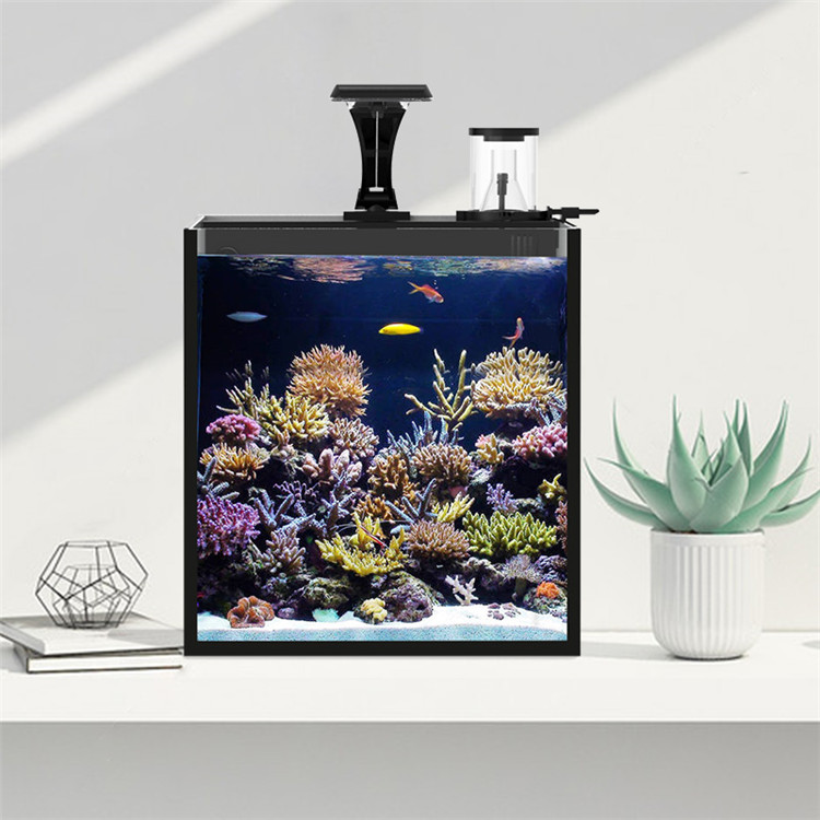 Ultra Clear Glass Mini Salt Wa - Marine Aquarium In Clearwater のレビューと価格
