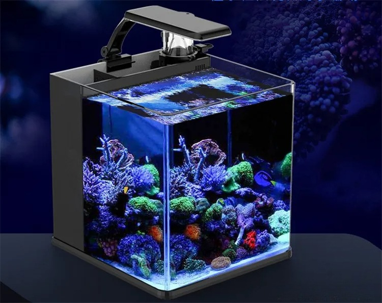 Ultra Clear Glass Mini Salt Wa - Marine Aquarium In Clearwater のレビューと価格