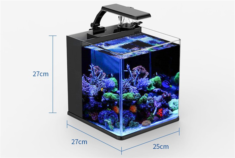 Ultra Clear Glass Mini Salt Wa - Marine Aquarium In Clearwater のレビューと価格