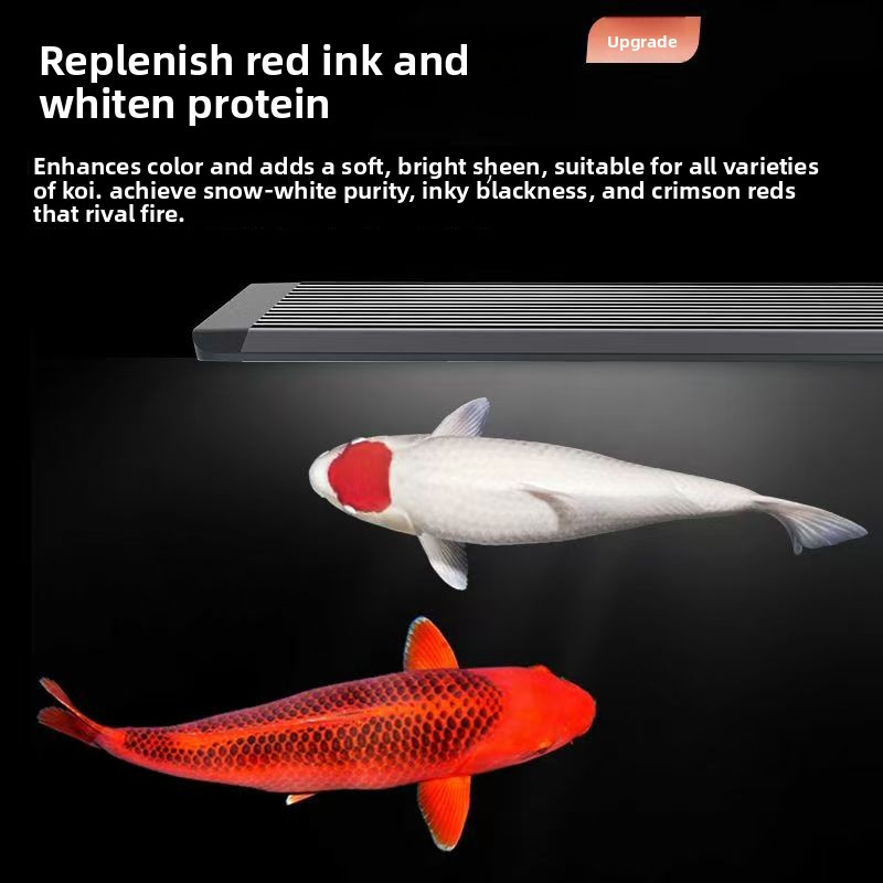 LED Aquarium Light for Fish Ta - Marine Aquarium In Clearwater のレビューと価格